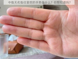 中指无名指往里挖的手势是什么？你想知道吗？