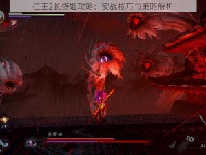 仁王2长壁姬攻略：实战技巧与策略解析