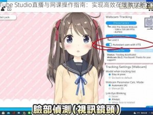 VTube Studio直播与网课操作指南：实现高效在线教学新方式