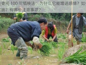 夫妻间 100 间插秧法：为什么它能增进感情？如何实践？有哪些注意事项？