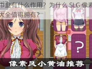 黄油纸巾盒有什么作用？为什么 SLG 像素风黄油纸巾盒大全值得拥有？