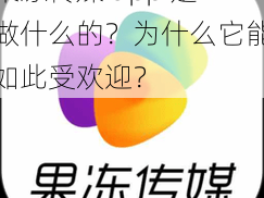 果冻传媒 app 是做什么的？为什么它能如此受欢迎？