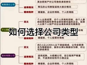 麻花传媒公司是哪种类型的企业？为何-如何选择适合的企业类型？