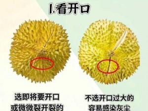 榴莲视频ios下载安装ios视频下载【如何在 ios 设备上下载安装榴莲视频 ios 版及 ios 视频？】