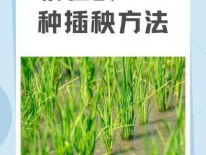 为什么情侣要学习 24 种插秧法？有哪些场景适合使用这种方法？如何学习情侣 24 种插秧法？