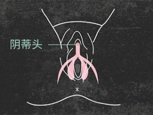 女性为何害怕带钩的物品？专家解答女性这一心理的原因