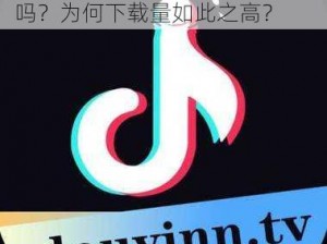 抖抈 app 免费，真的有这么好吗？为何下载量如此之高？