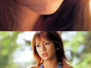 松岛枫种子连接、松岛枫种子资源哪里有？