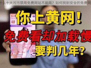 为什么十大污污禁用免费网站不能用？如何找到安全的免费网站？