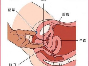 女的下面同时放两根进去,女的下面同时放两根进去，是一种怎样的体验？