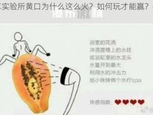 含羞草实验所黄口为什么这么火？如何玩才能赢？有哪些技巧？