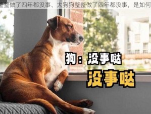 大狗狗整整做了四年都没事、大狗狗整整做了四年都没事，是如何做到的？