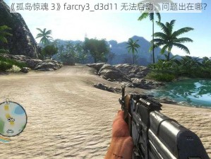 《孤岛惊魂 3》farcry3_d3d11 无法启动，问题出在哪？