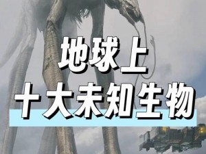 爱布谷直播-爱布谷直播：窥探未知世界的神奇窗口