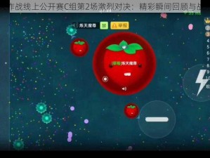 球球大作战线上公开赛C组第2场激烈对决：精彩瞬间回顾与战术解析