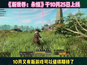 浴火银河2Launcher：启动游戏新世界，优化体验全解析