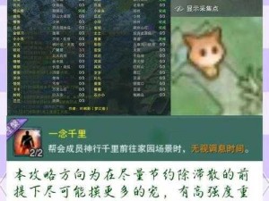 新苍穹之剑副宠携带指南：教你如何正确选择和培养