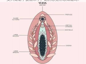 女人高潮了拔出来了，她的感觉你想知道吗？