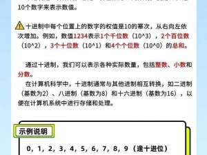 二进制领域操作详解：从基础到高级的实践指南