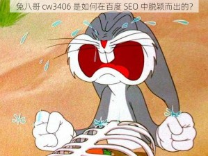 兔八哥 cw3406 是如何在百度 SEO 中脱颖而出的？