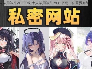 十大禁用软件APP下载,十大禁用软件 APP 下载，你需要知道的事