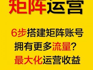 5G 年龄确认进入网站 SEO，快速提升网站排名，带来更多流量和收益