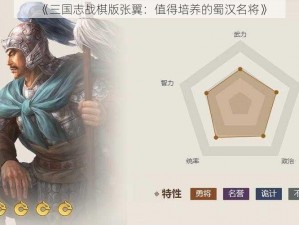 《三国志战棋版张翼：值得培养的蜀汉名将》