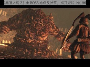 探索《黑暗之魂 2》全 BOSS 地点及掉落，揭开游戏中的神秘面纱