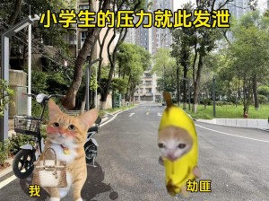 小学六年级的小馒头，如何应对学习压力？