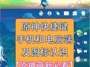 《原神》游戏攻略：快速掌握苇海信标的使用方法