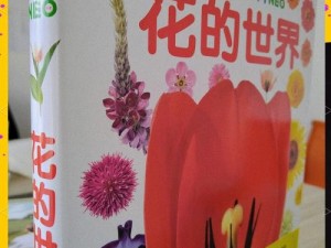 花妈妈-花妈妈的奇妙世界