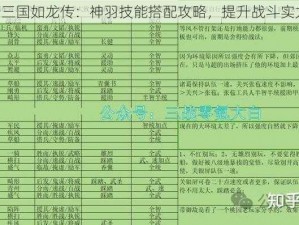 《三国如龙传：神羽技能搭配攻略，提升战斗实力》