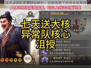 三国志战棋版忠谏技能解析：战略施展下的神奇效果探索