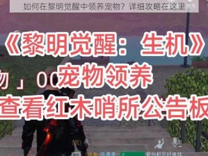 如何在黎明觉醒中领养宠物？详细攻略在这里