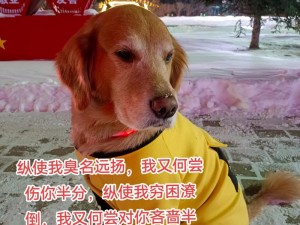 和狗干了3年;：和狗干了 3 年，它竟这样对我