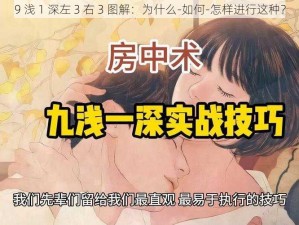 9 浅 1 深左 3 右 3 图解：为什么-如何-怎样进行这种？