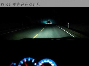 晚上开车又疼又叫的声音欢迎您、夜晚开车时，又疼又叫的声音在欢迎您