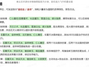 青云志手游伙伴情缘搭配技巧分享，助你战力飞升称霸全服