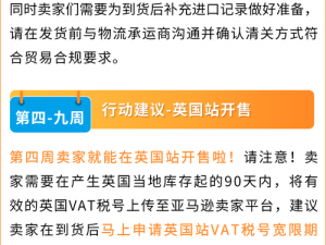 2024 亚马逊欧洲站换域名了？用户该如何应对