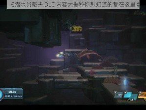 《潜水员戴夫 DLC 内容大揭秘你想知道的都在这里》