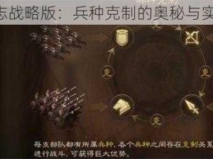 《三国志战略版：兵种克制的奥秘与实战应用》