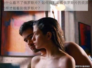 为什么看不了俄罗斯片？如何找到能看俄罗斯片的资源？怎样才能看到俄罗斯片？