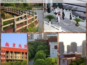 南京交院4p—南京交院 4p 是什么意思？为何如此神秘？