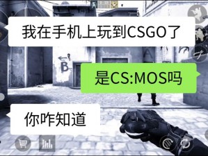 国外真人 CSGO 视频为何全面更新上线？有何观看渠道？