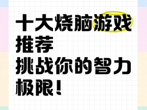 烧脑大挑战：揭秘智力极限，挑战思维巅峰预览截图