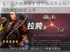 《三国志战略版》甘宁盾兵怎么玩？高手教你轻松上手