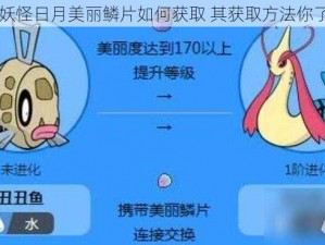 口袋妖怪日月美丽鳞片如何获取 其获取方法你了解吗