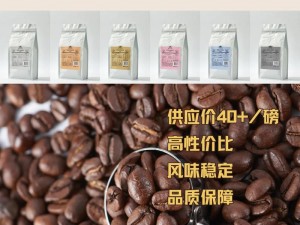 国精品产区 WNW2544 优质咖啡豆，风味独特，口感醇厚