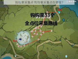 钩钩果采集点 钩钩果采集点在哪里？