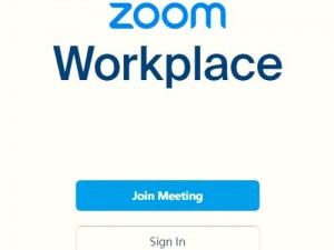 俄罗斯 ZOOM 人与 ZOOM2，带来全新视觉体验的视频会议软件